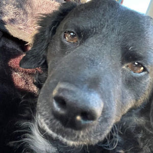 Meet your Posher, Jacob